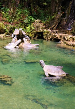 Tarapoto Mágico