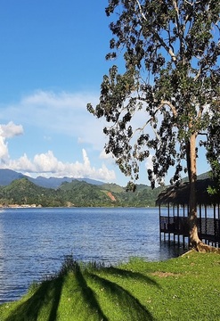 Tarapoto Tropical