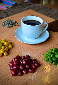 Tour del café en Cusco