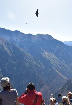 Valle del Colca con experiencias auténticas