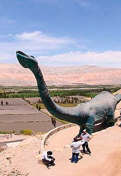 Valle de Majes, full encanto en Arequipa