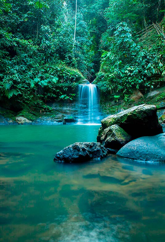 Cascada de Carpishuyacu