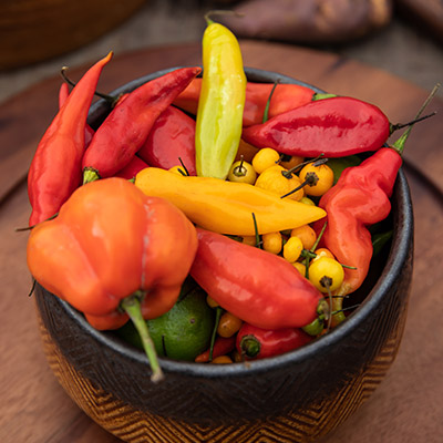 Día Nacional de los Ajíes: ají amarillo, ají panca, rocoto y otros ajíes del Perú