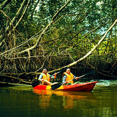 Los Manglares de Tumbes: cinco razones que lo hacen inolvidable