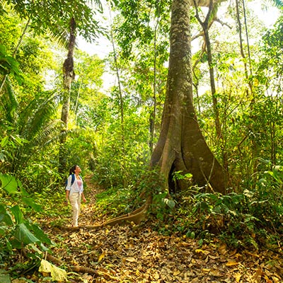 Tambopata: 5 actividades que tienes que hacer en esta Reserva Nacional