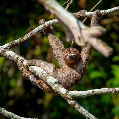 Día de la Tierra: 5 datos curiosos sobre la naturaleza del Perú