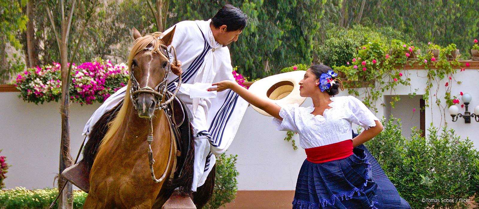 ¡Promociona tu negocio en Y Tú Qué Planes!