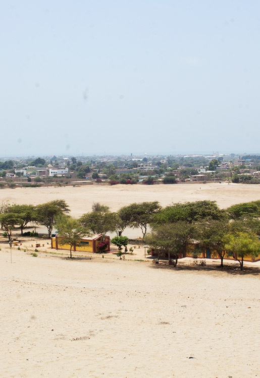 Campiña de Moche