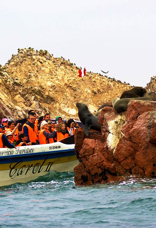Reserva Nacional Sistemas de Islas, Islotes Puntas Guaneras - Islas Ballestas