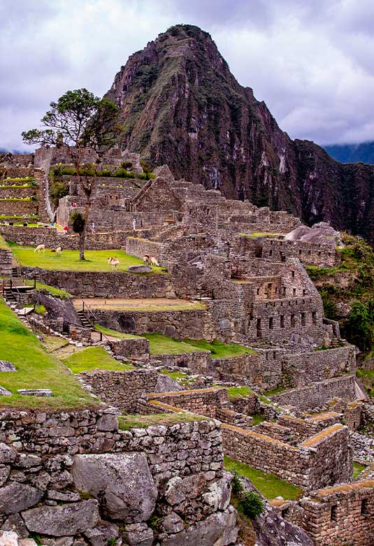PAN-SHN Machupicchu