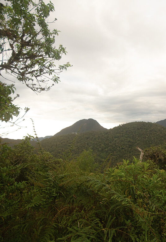 Área de Conservación Privada Abra Patricia