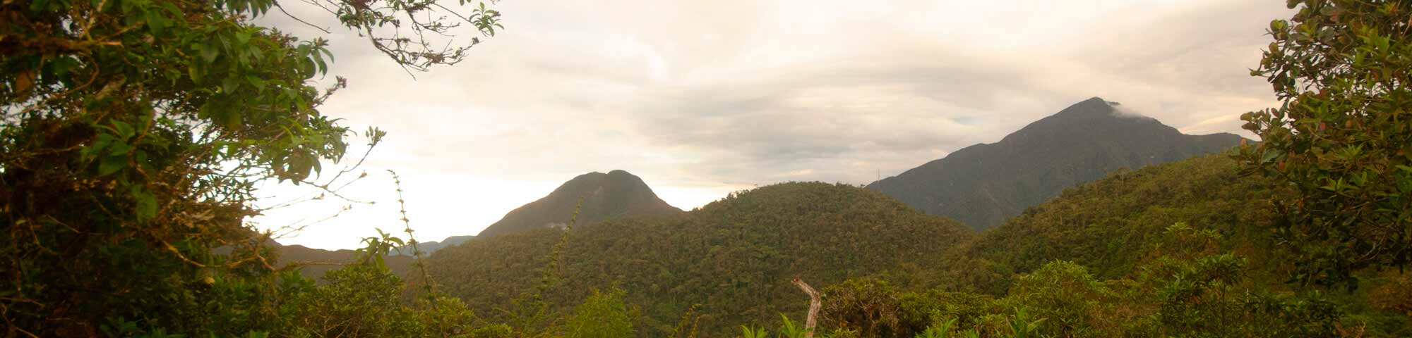 Área de Conservación Privada Abra Patricia