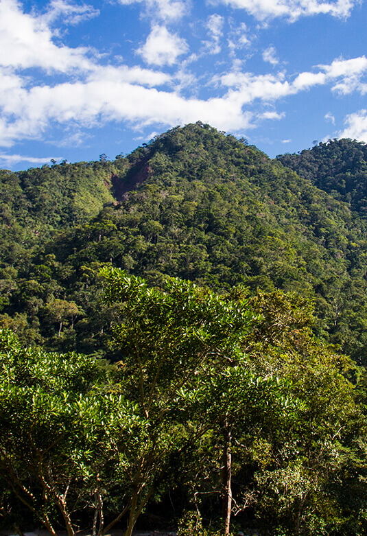 Área de Conservación Regional Cordillera Escalera