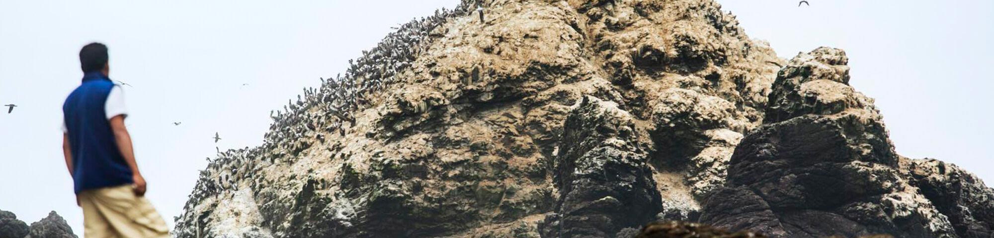Barranca