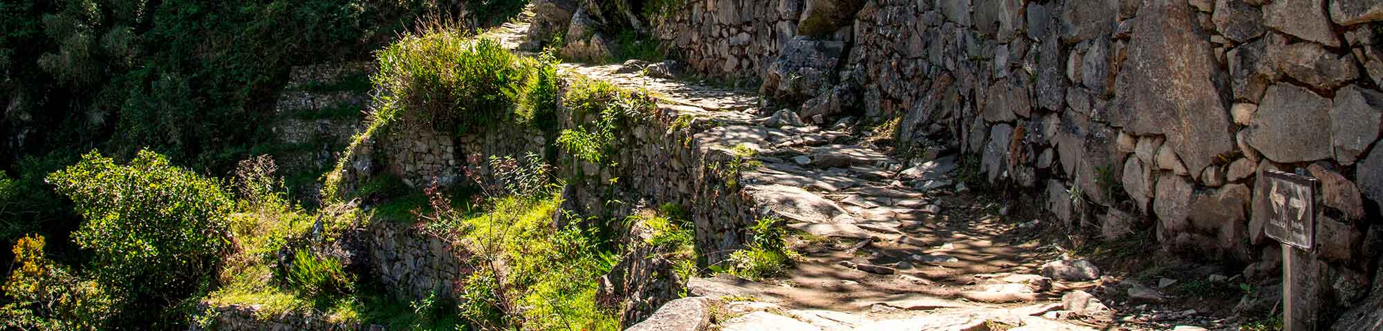 Camino Inca a Machu Picchu