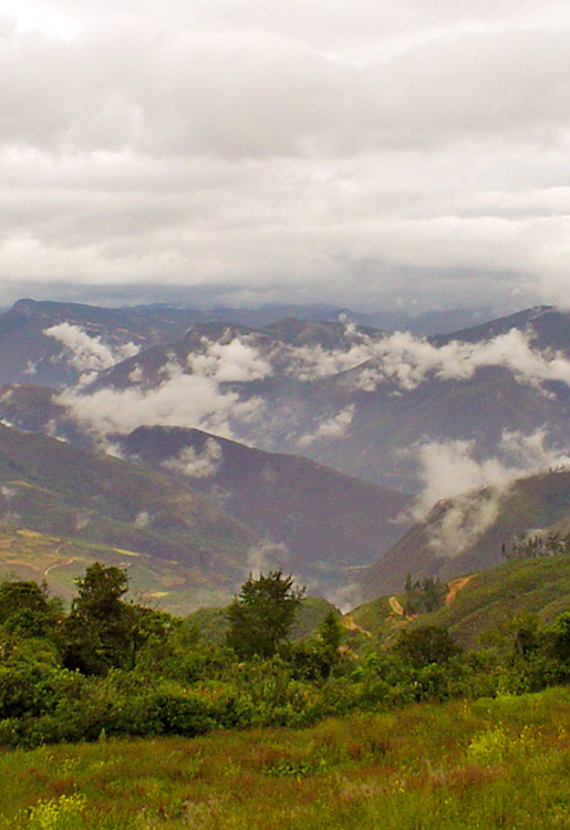 Distrito de Levanto