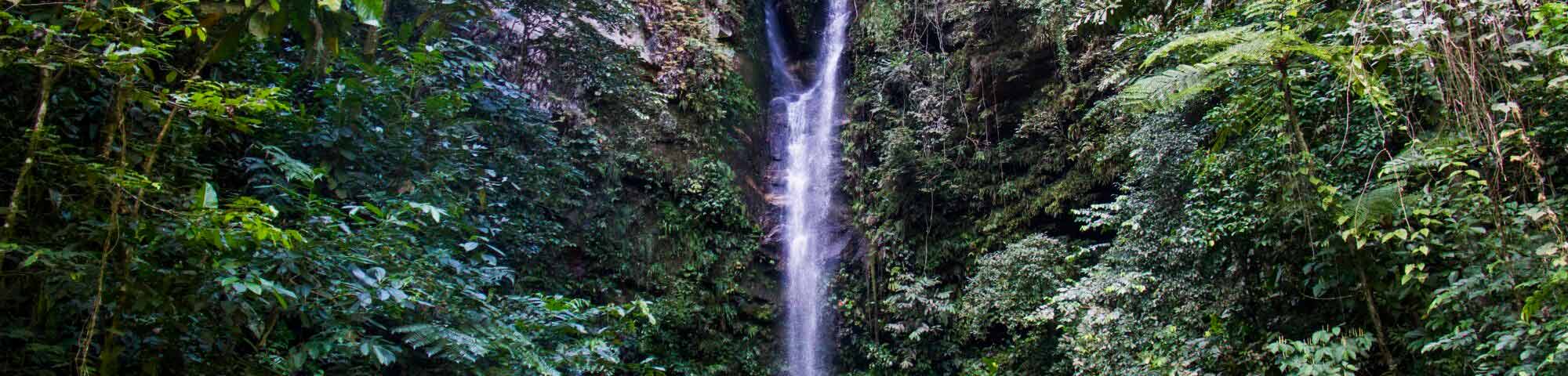 Catarata Ahuashiyacu