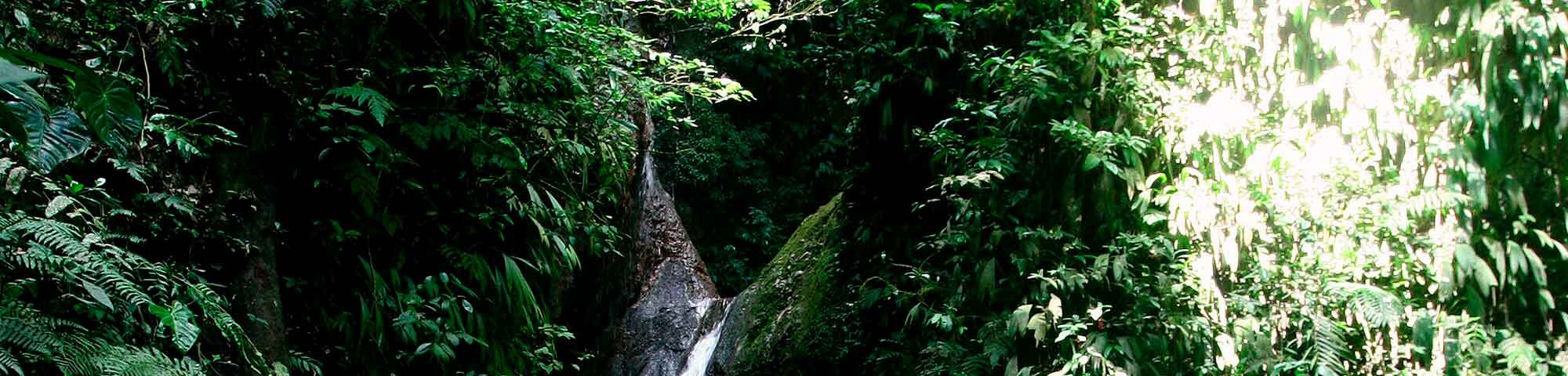 Cascada Velo de las Ninfas