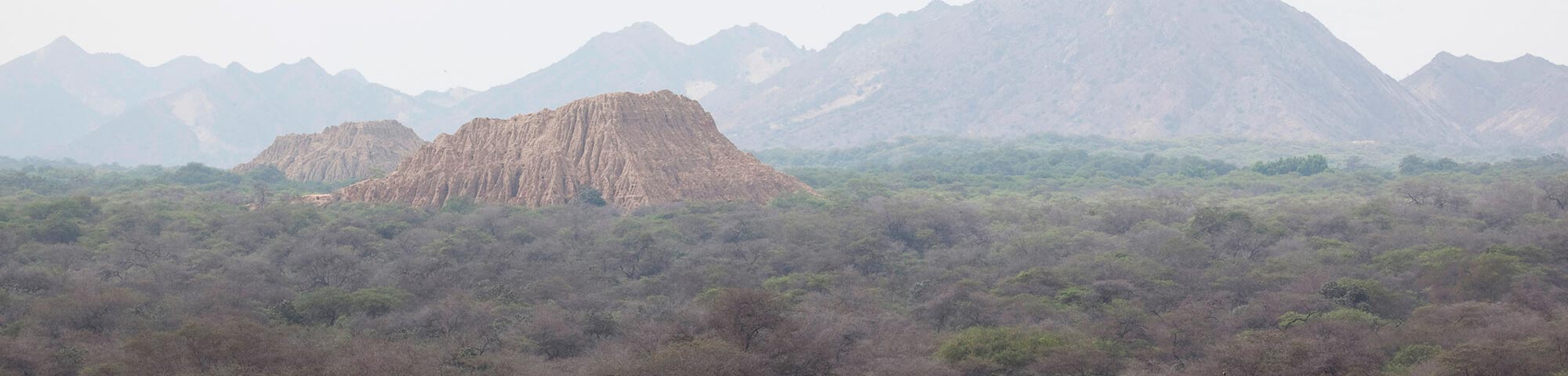 Santuario Bosque de Pómac