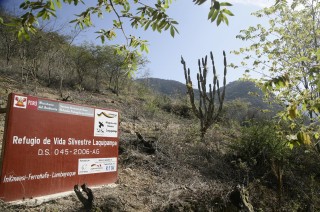 Refugio de Vida Silvestre Laquipampa