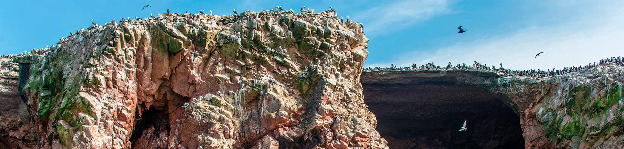 Islas Ballestas