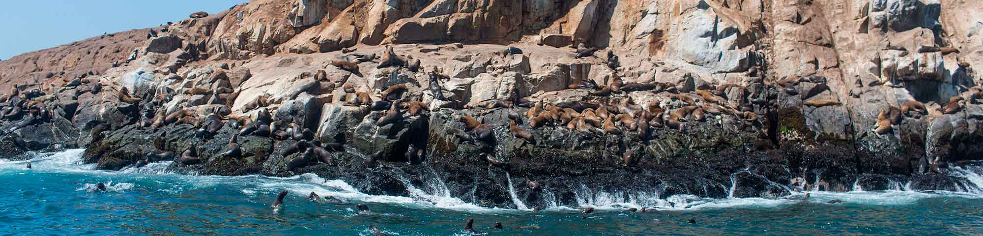 Islas Palomino