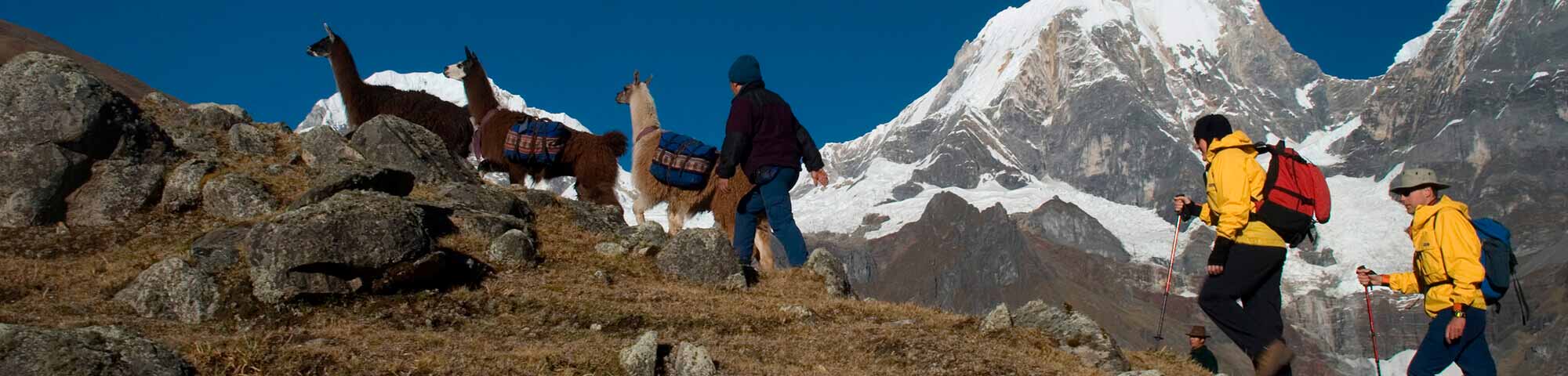 Llama Trek (Olleros-Chavín)