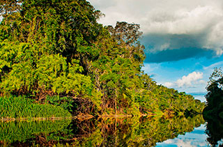 Reserva Nacional Pacaya Samiria