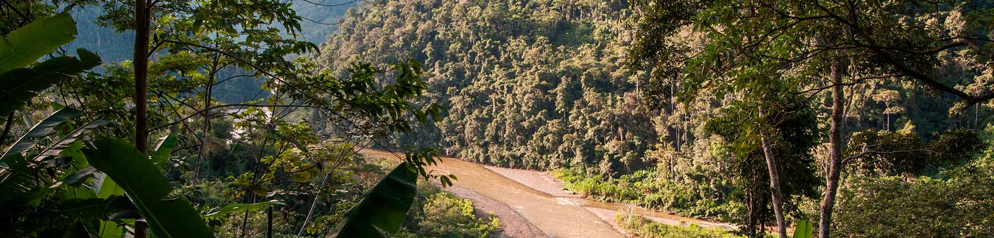 Parque Nacional Bahuaja-Sonene
