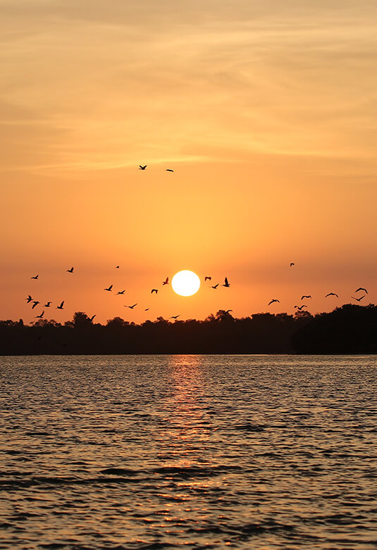 Manglares e Islas de Puerto Pizarro