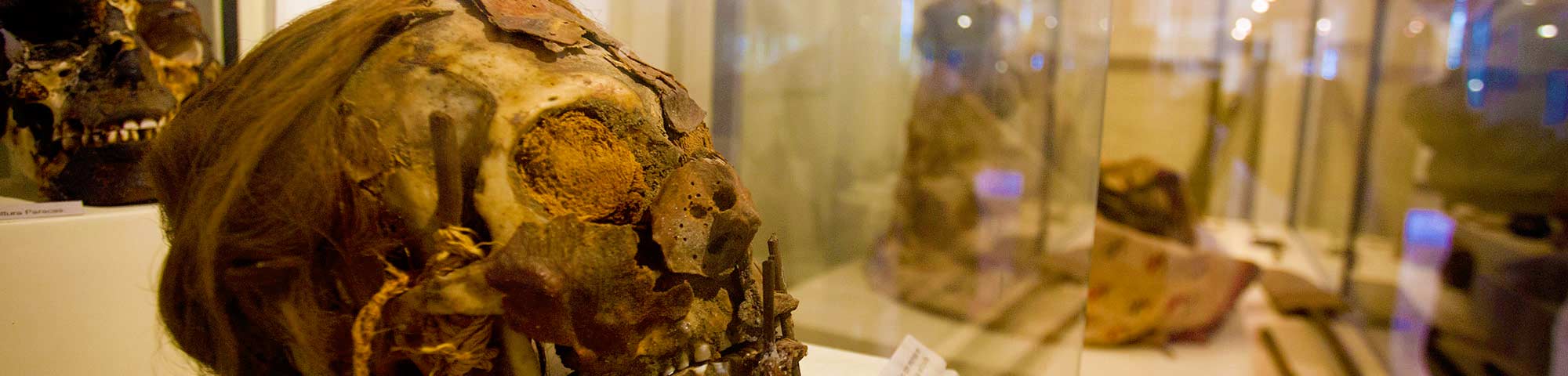 Museo Regional