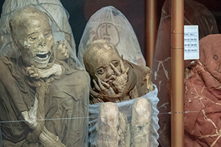 Museo Leymebamba