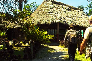 Paraíso Alto Mayo - Y Tú Qué Planes