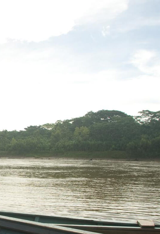 Parque Nacional del Manu