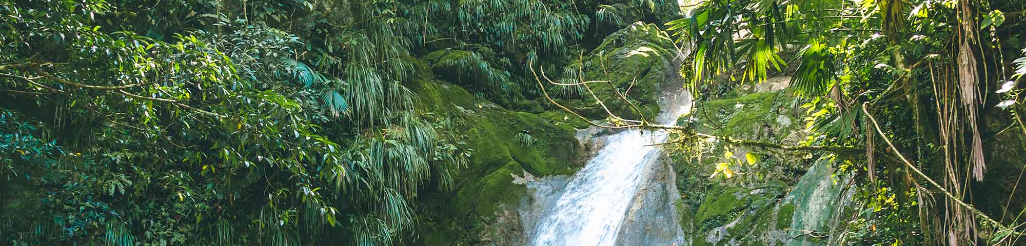 Parque Nacional de Tingo María