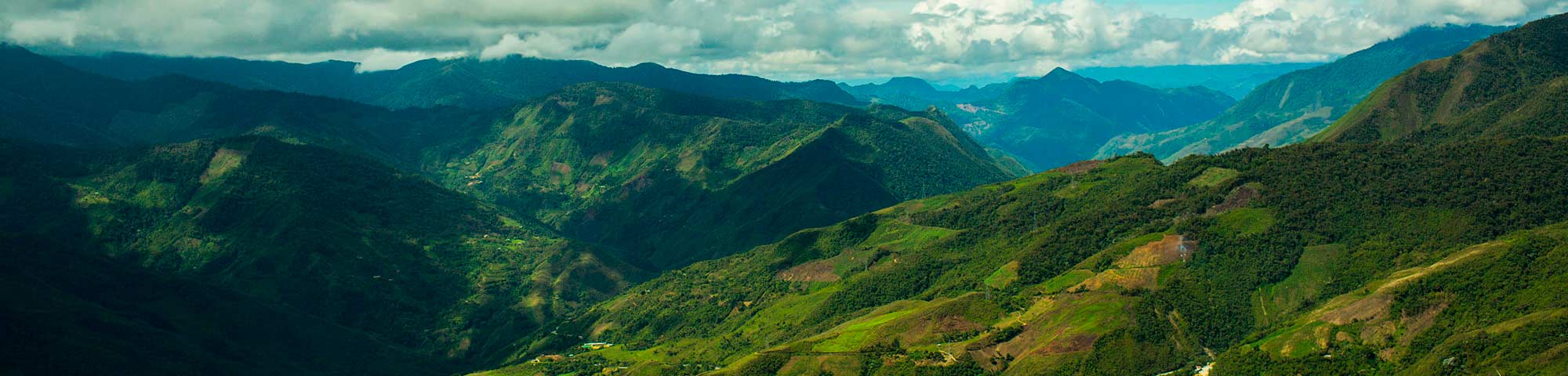 Parque Nacional Tingo María