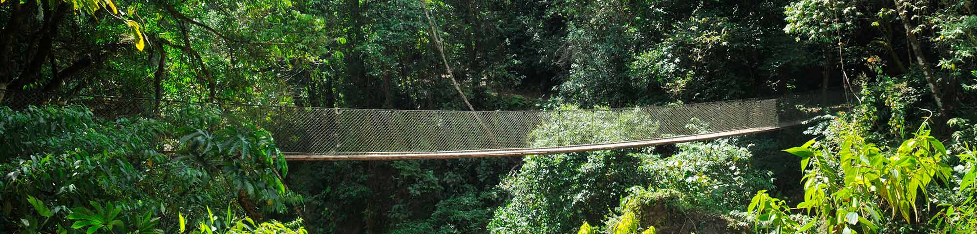 Parque Nacional Yanachaga Chemillén