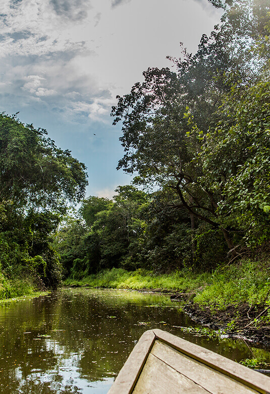 Pucallpa