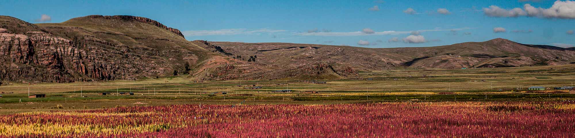 Pueblo de Quinua