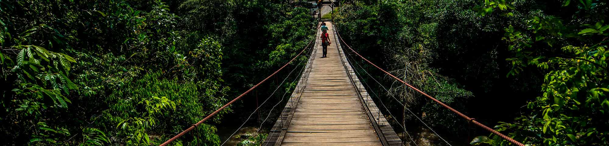 Puente Colgante Emperador Guillermo I de Pozuzo