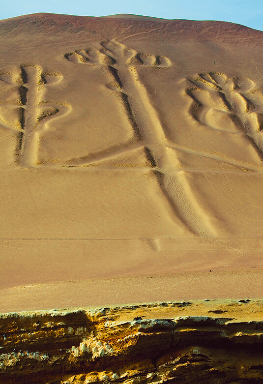Reserva Nacional de Paracas