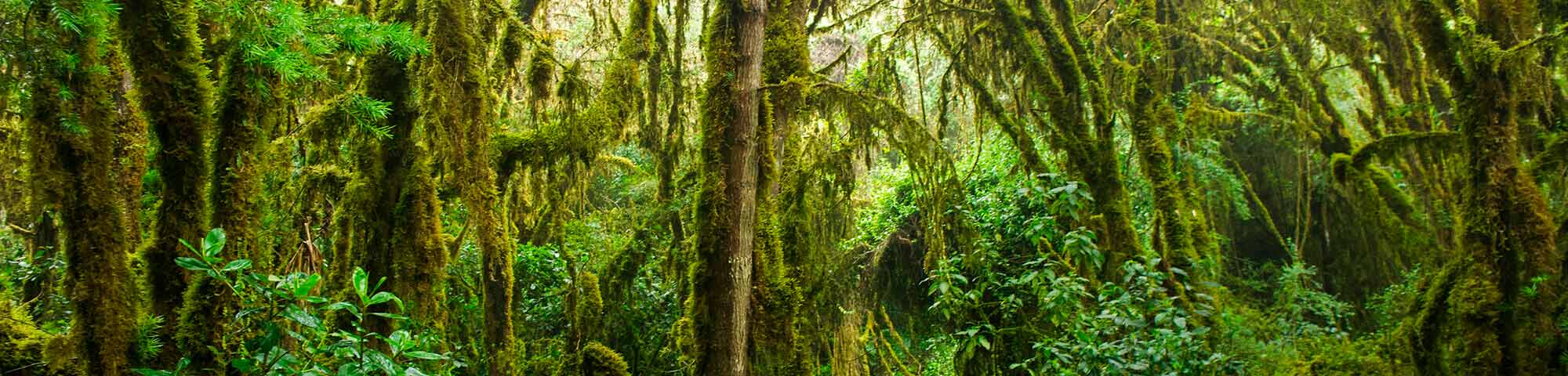 Santuario Nacional de Ampay