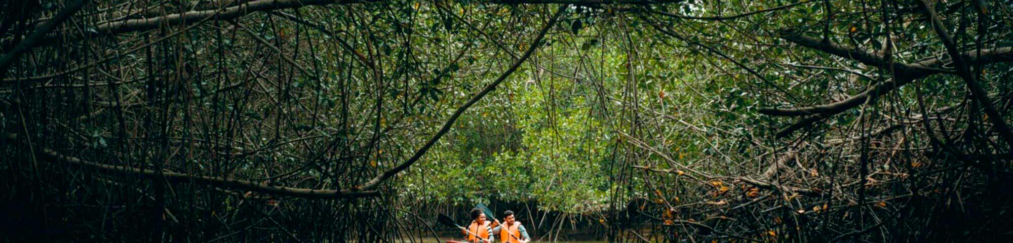 Santuario Nacional de los Manglares de Tumbes