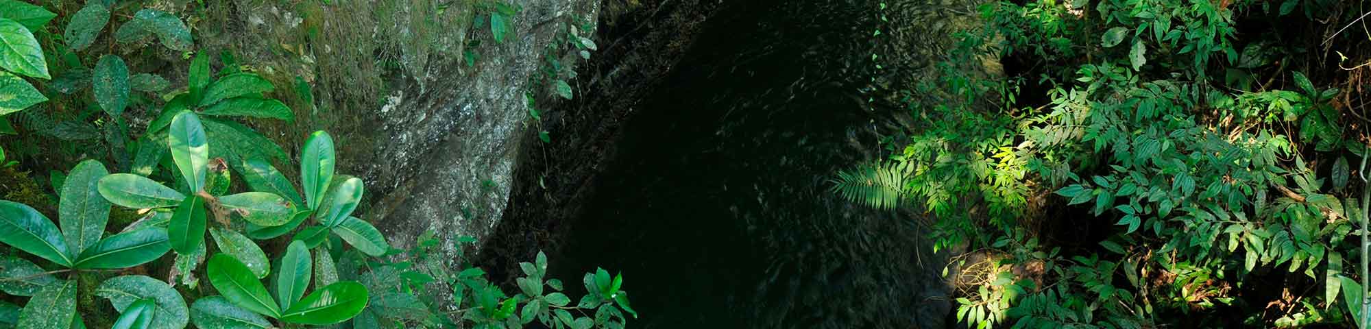 Santuario Nacional de Pampa Hermosa