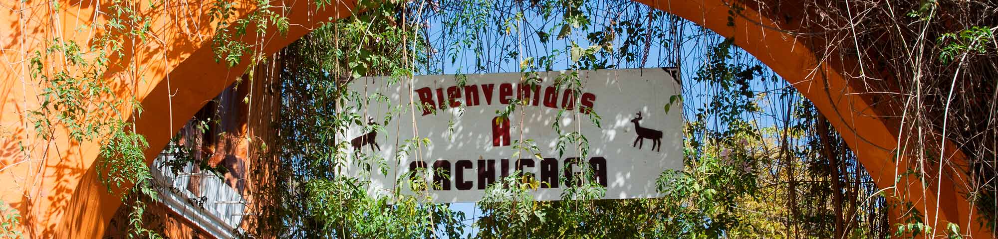 Tomayquichua