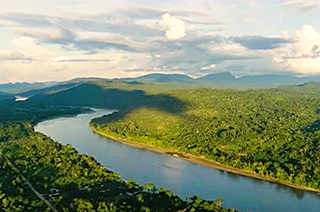 Vive la selva en Tarapoto - Y Tú Qué Planes