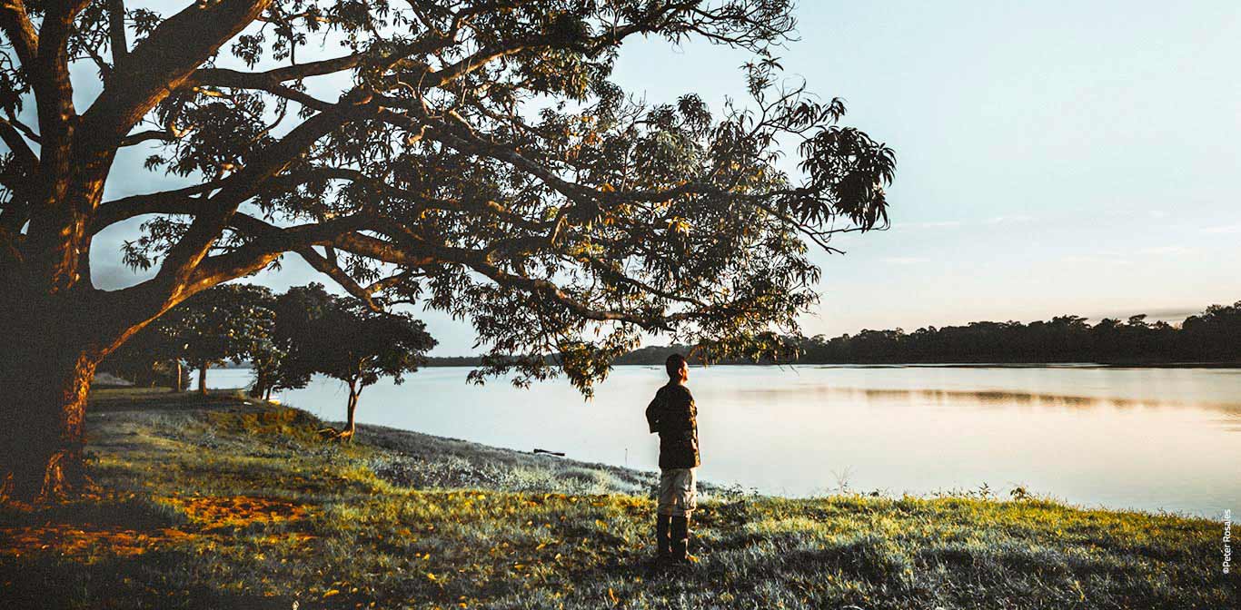 Laguna Cashibococha