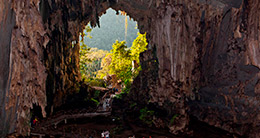 Aniversario del Parque Nacional Tingo María 