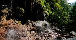 Aniversario del Parque Nacional Yanachaga Chemillén - Pasco