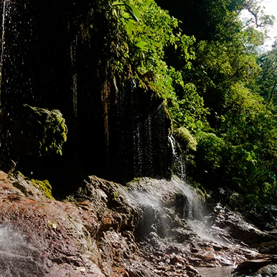 Aniversario del Parque Nacional Yanachaga Chemillén - Pasco
